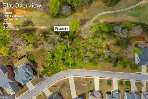 9131 Golfview Ln, Covington, GA 30014 photo 2