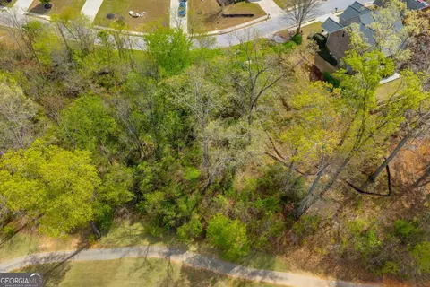 9131 Golfview Ln, Covington, GA 30014 photo 17