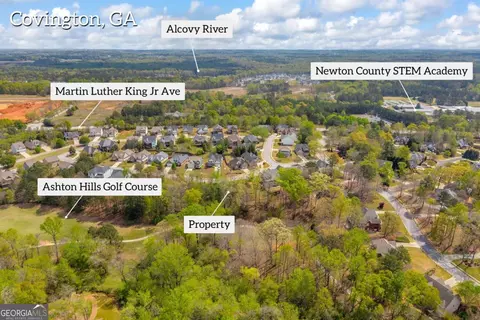 9131 Golfview Ln, Covington, GA 30014 photo 8