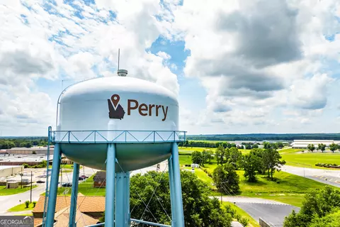 View/Area - 303 Rusty Plow Ln, Perry, GA 31069 photo 5 of 10