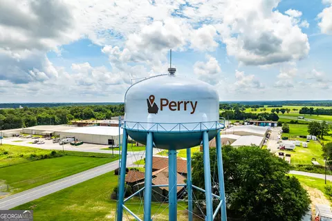 View/Area - 303 Rusty Plow Ln, Perry, GA 31069 photo 4 of 10