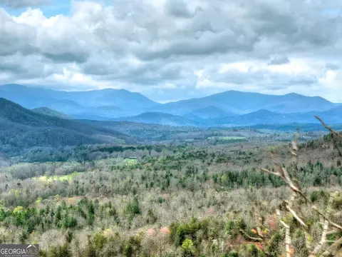 lot29 Forest Dr, Morganton, GA 30560