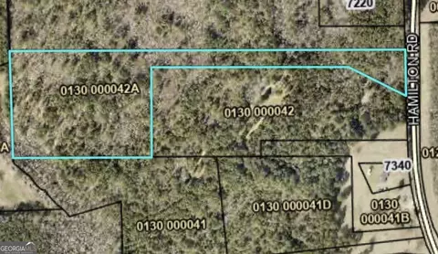 0 Hamilton Rd, Pine Mountain, GA 31822 photo 4