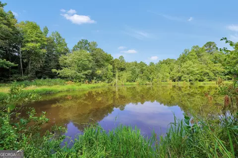 View/Area - 2186 Williamson Zebulon Rd, Williamson, GA 30292 photo 4 of 6