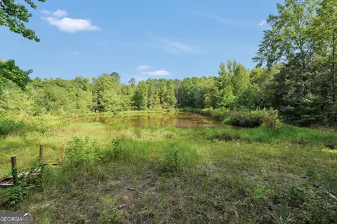 View/Area - 2186 Williamson Zebulon Rd, Williamson, GA 30292 photo 3 of 6