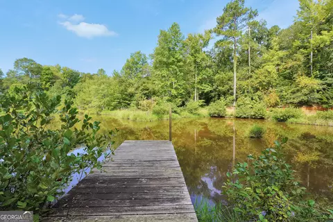 View/Area - 2186 Williamson Zebulon Rd, Williamson, GA 30292 photo 6 of 6