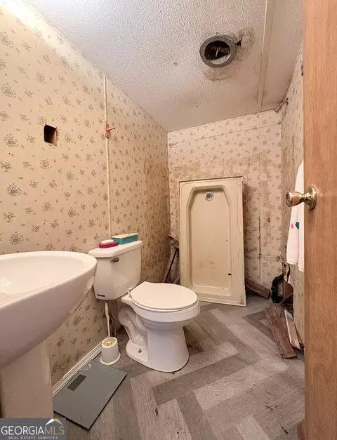 Bath - 346 Quail Run Rd, Roberta, GA 31078 photo 3 of 3