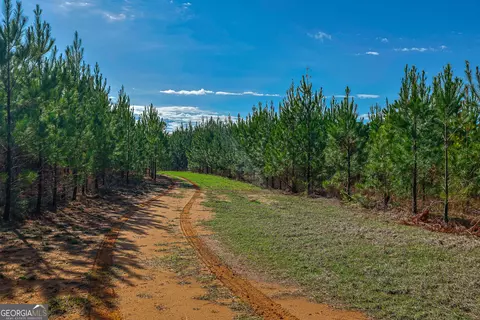 0 Island Creek Rd, Sparta, GA 31087
