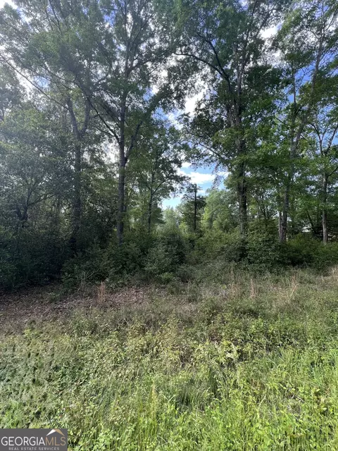 0 Cork Ferry Rd, Cordele, GA 31015