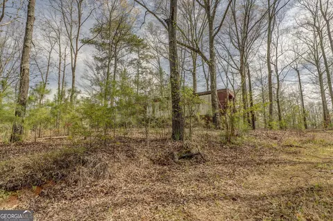 3585 Old Highway 100 S, Tallapoosa, GA 30176