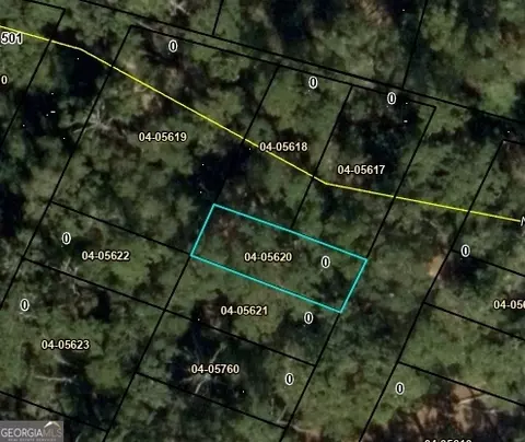 0 Franklin Ln, St. Simons, GA 31522