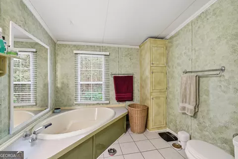 Bath - 2533 Mcfarlin Bridge Rd, Carnesville, GA 30521 photo 2 of 4