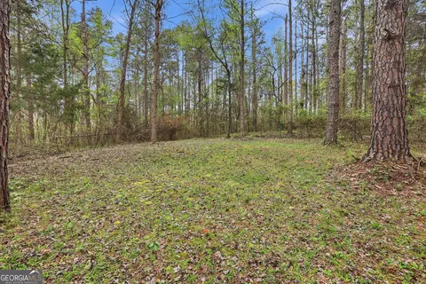 Exterior - 2533 Mcfarlin Bridge Rd, Carnesville, GA 30521 photo 8 of 8