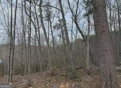 TRACT B2 Mountain Ridge #TRCTB-2, Blue Ridge, GA 30513