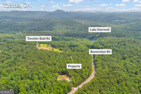 0 Trembly Bald Rd, Toccoa, GA 30577 photo 8