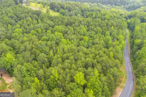 0 Trembly Bald Rd, Toccoa, GA 30577 photo 20