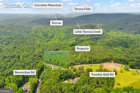 0 Trembly Bald Rd, Toccoa, GA 30577 photo 6