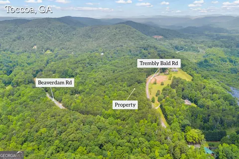 0 Trembly Bald Rd, Toccoa, GA 30577 photo 10