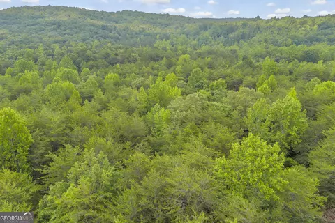 0 Trembly Bald Rd, Toccoa, GA 30577 photo 26