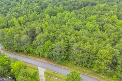 0 Trembly Bald Rd, Toccoa, GA 30577 photo 18