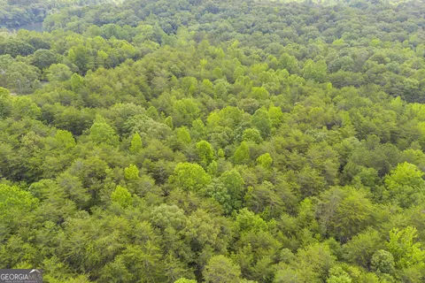 0 Trembly Bald Rd, Toccoa, GA 30577 photo 21