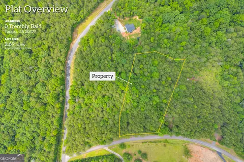 0 Trembly Bald Rd, Toccoa, GA 30577 photo 2