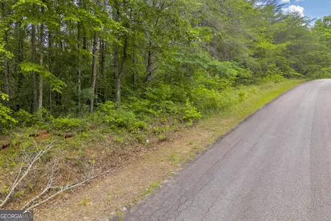 0 Trembly Bald Rd, Toccoa, GA 30577 photo 17