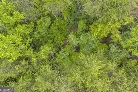 0 Trembly Bald Rd, Toccoa, GA 30577 photo 24