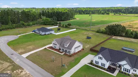 View/Area - 320 Firethorne Dr, Brooklet, GA 30415 photo 3 of 11
