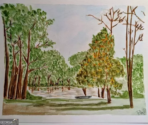 384 Enon Grove Rd, Franklin, GA 30217