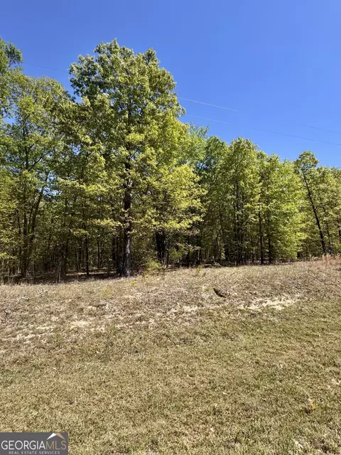 0 Dukes Rd, Wadley, GA 30477