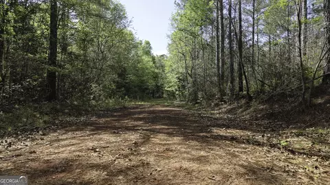 19 74 Acres Davis Lake Rd, Pine Mountain, GA 31822