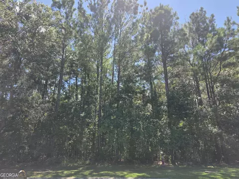 lot143 Canopy Ln, Waverly, GA 31565