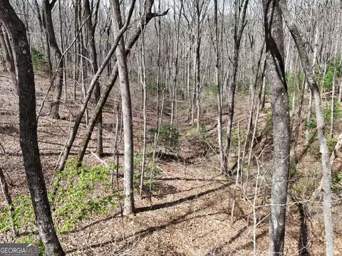 124 Laurel Crossing, Blue Ridge, GA 30513