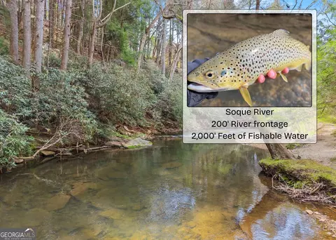 lot19 Soque Cir, Clarkesville, GA 30523
