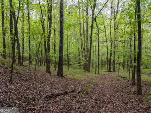 0 Georgia Kaolin Rd, Dry Branch, GA 31020