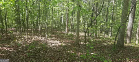 11300 Azalea Trl, Hampton, GA 30228 photo 3