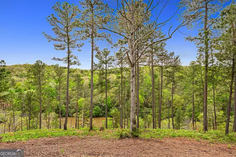 View/Area - 630 Human Rd, Bowman, GA 30624 photo 2 of 4