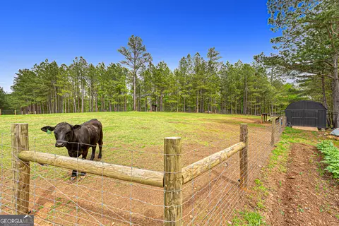 Other - 630 Human Rd, Bowman, GA 30624 photo 10 of 12