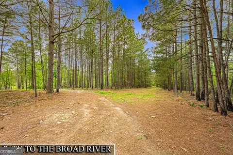 Other - 630 Human Rd, Bowman, GA 30624 photo 11 of 12