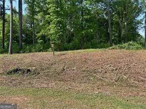 1111 Dockside Dr, Buckhead, GA 30625 photo 6