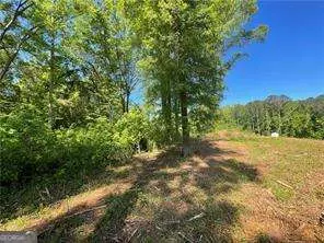 1111 Dockside Dr, Buckhead, GA 30625 photo 4