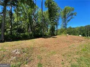 1111 Dockside Dr, Buckhead, GA 30625 photo 7