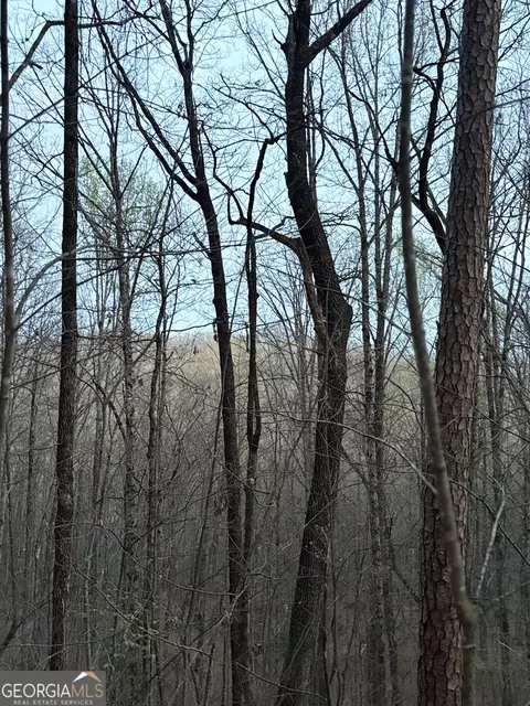 0 Highway 197, Clayton, GA 30525