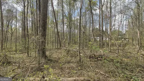 0 Wits End, Gainesville, GA 30506 photo 3