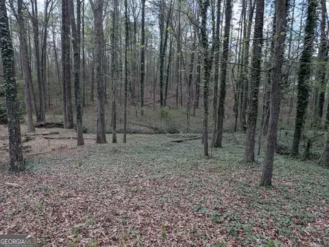 0 Wits End, Gainesville, GA 30506 photo 10