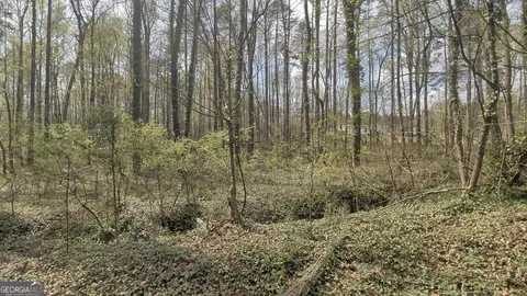 0 Wits End, Gainesville, GA 30506 photo 8
