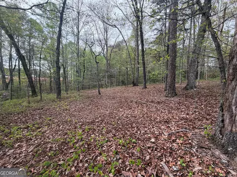 0 N County Line Rd, Alto, GA 30510