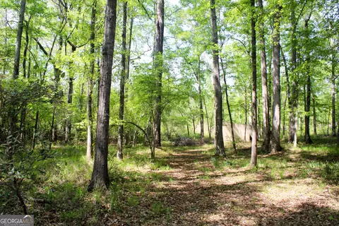 Other - 895 Waterview Dr, Lagrange, GA 30240 photo 26 of 28
