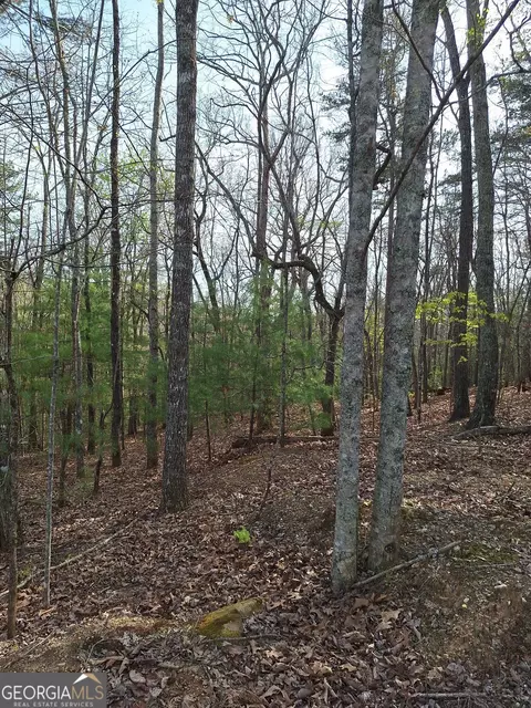0 Mull Lane Cir, Morganton, GA 30560